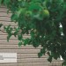 Сайдинг Ю-Пласт TIMBERBLOCK Пихта (Тимберблок) Cахалинская купить в Пензе