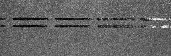 Коньково-карнизная черепица Docke Premium, черника купить в Пензе