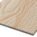 Фиброцементные панели FCSPRO Decor Wood Лиственница купить в Пензе